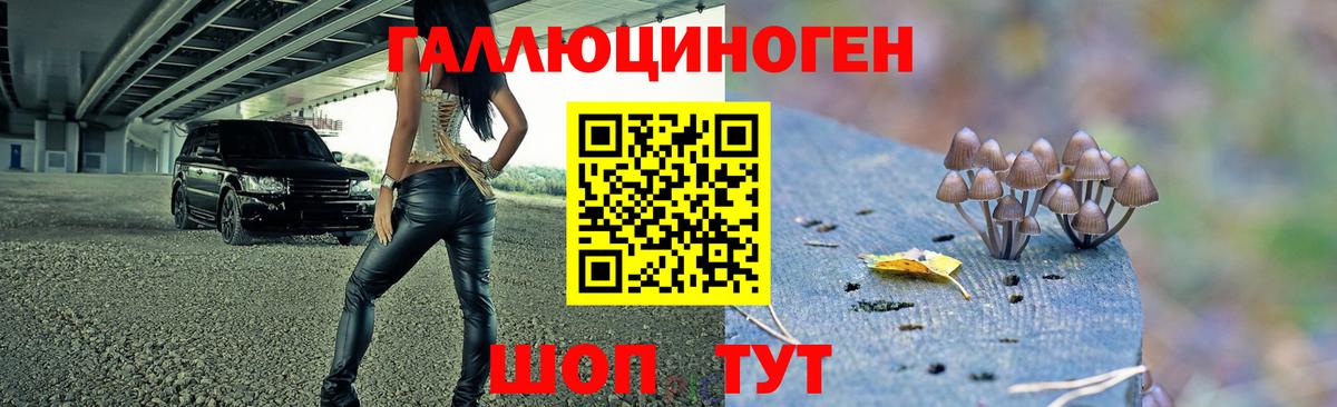 Галлюциногенные грибы мухоморы Тулун