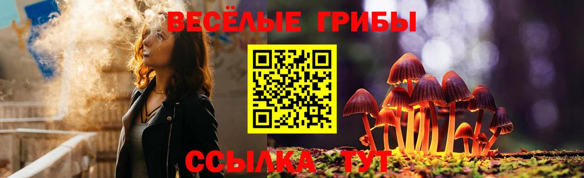 Псилоцибиновые грибы мухоморы  Вход с VPN  Тулун 